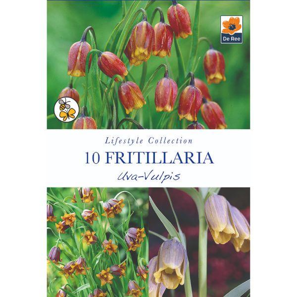 De Ree - Lifestyle Bulb Collection