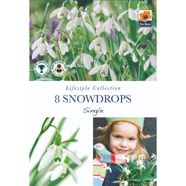 De Ree - Lifestyle Bulb Collection