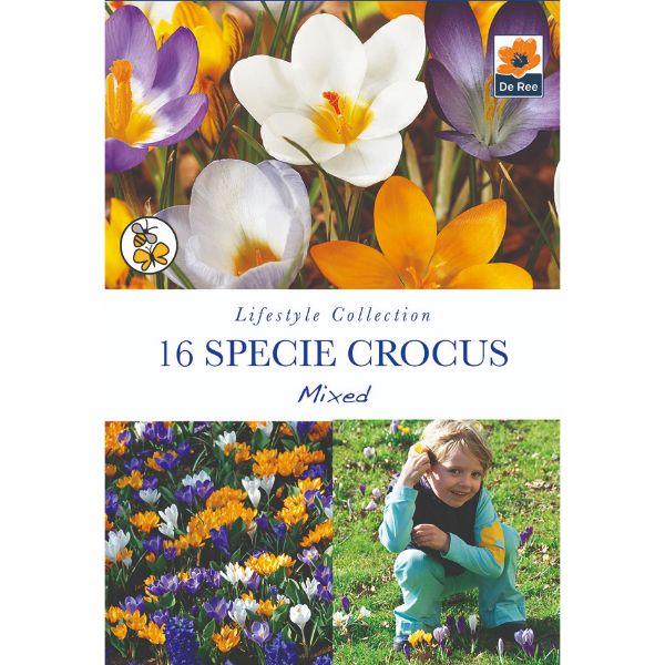 De Ree - Lifestyle Bulb Collection