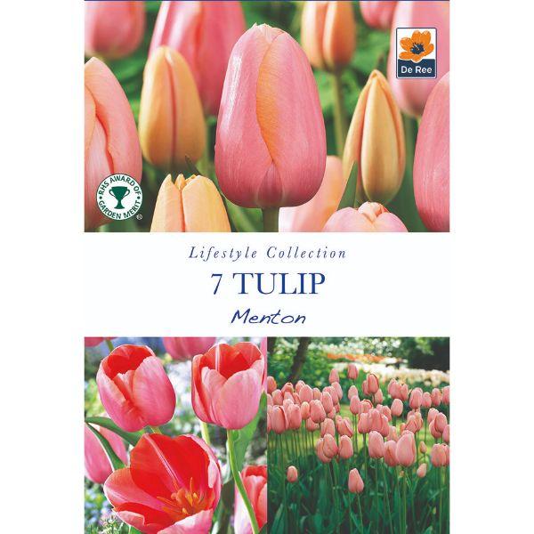 De Ree - Lifestyle Bulb Collection