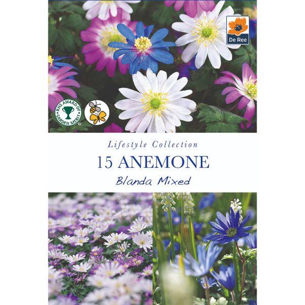 De Ree - Lifestyle Bulb Collection