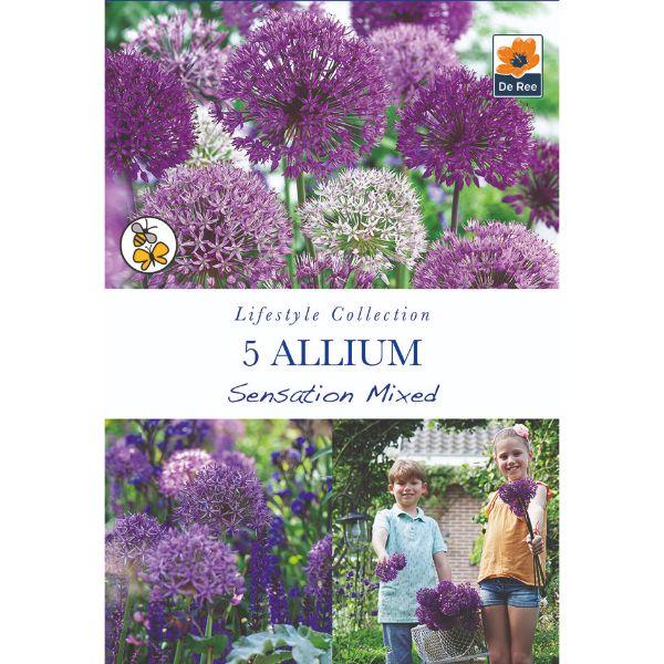 De Ree - Lifestyle Bulb Collection