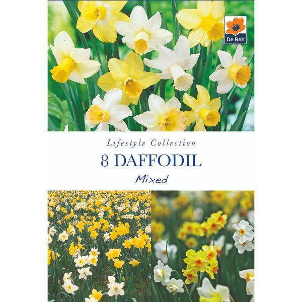 De Ree - Lifestyle Bulb Collection