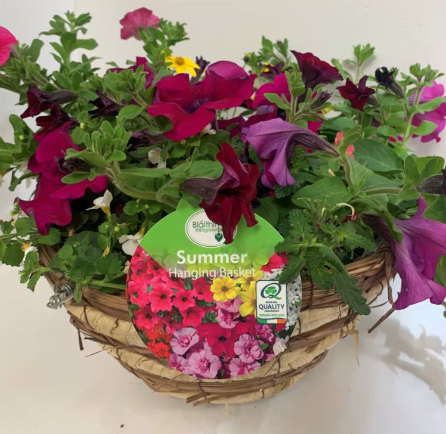 Wicker Hanging Basket