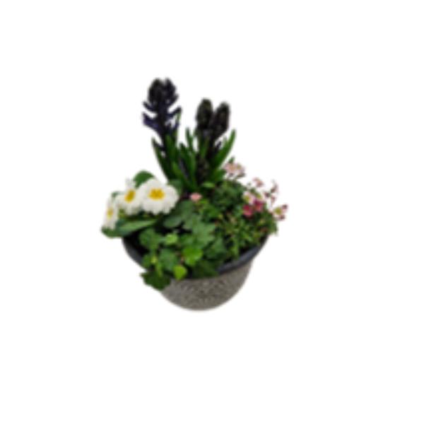 Mothers Day Oval Planter