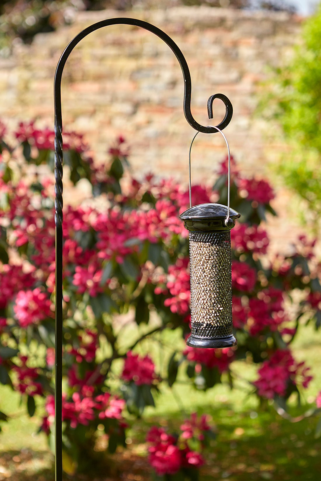 Twirled Hook - Medium