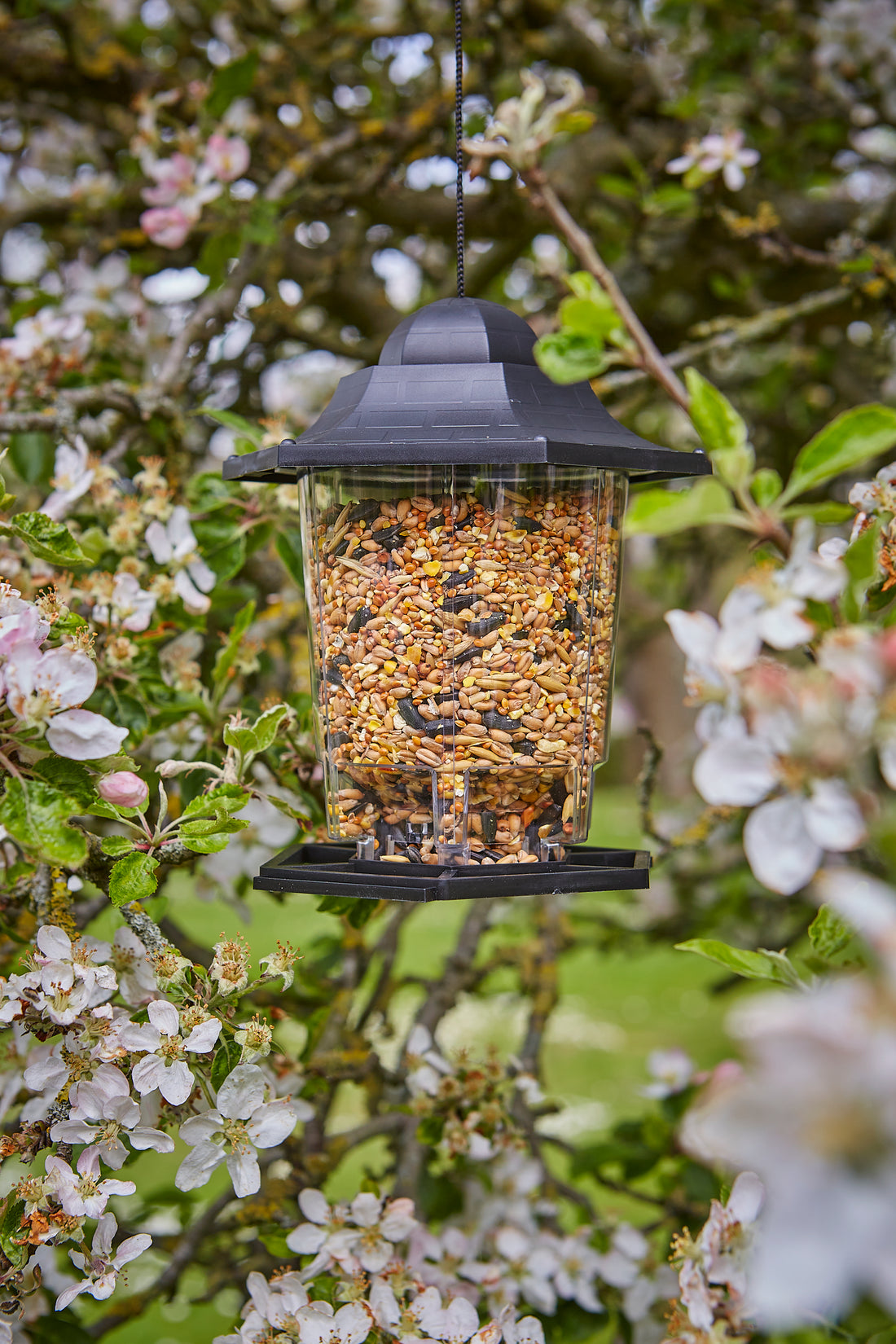 Lantern Seed Feeder