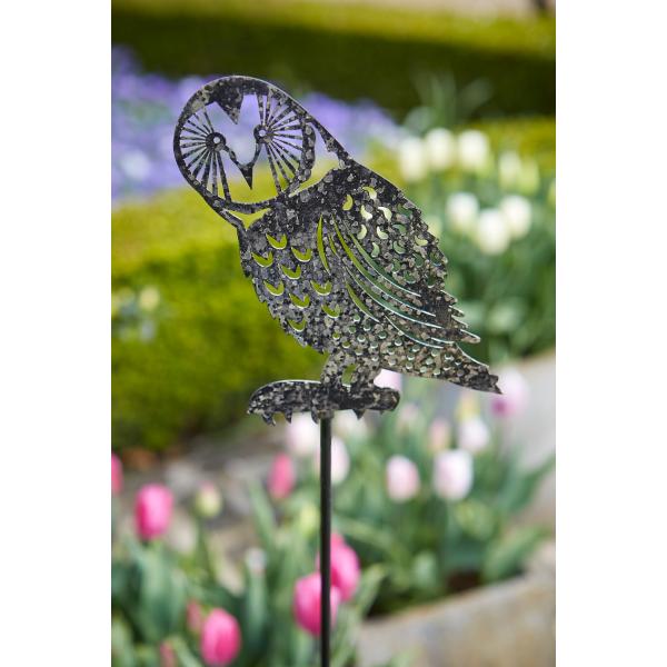 Tom Chambers 100cm Hoots Plant Stake