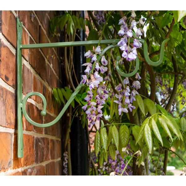 Tom Chambers Twisted Sage 30cm Bracket