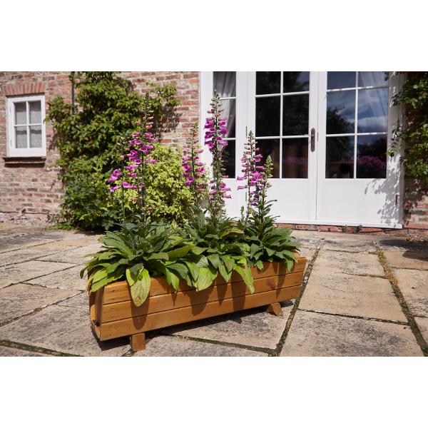Tom Chambers Rosemoor Trough Planter