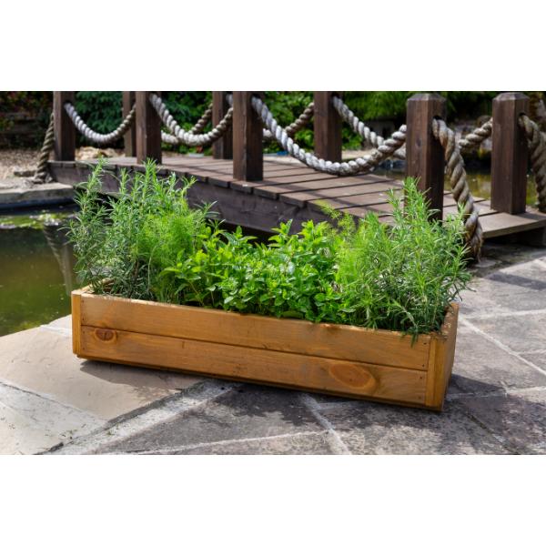 Tom Chambers Herb & Harvest Trough Large Planter