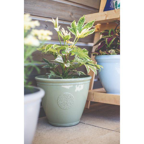 Plant Avenue Eden Emblem Planter Green 40cm