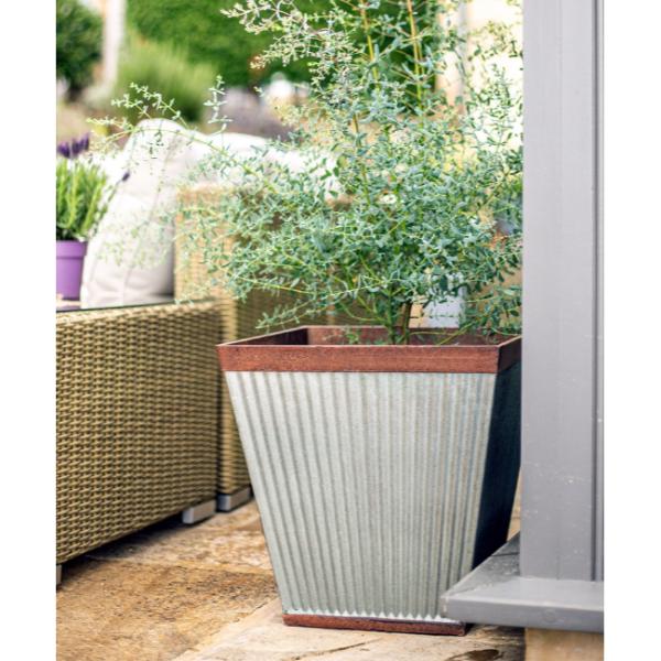 Plant Avenue Irondale Square 40cm