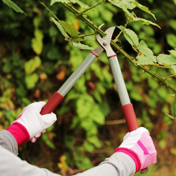 Garden Life Bypass Loppers