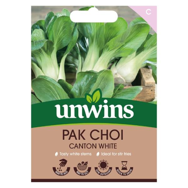 Pak Choi Canton White