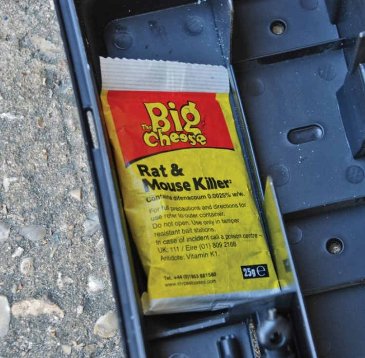 Big Cheese Rat & Mouse Killer Grain Bait Sachet 6 x 25g