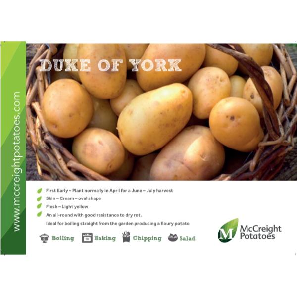 Duke Of York Seed Potatoes 2kg