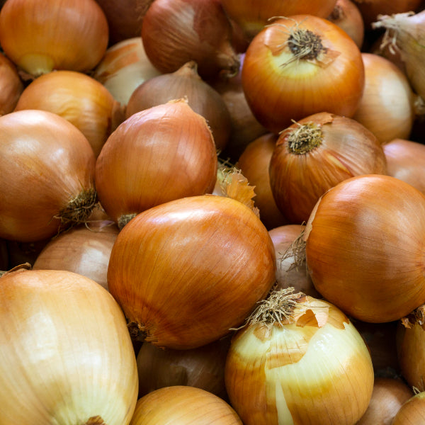 Onion Set 500g Sturon