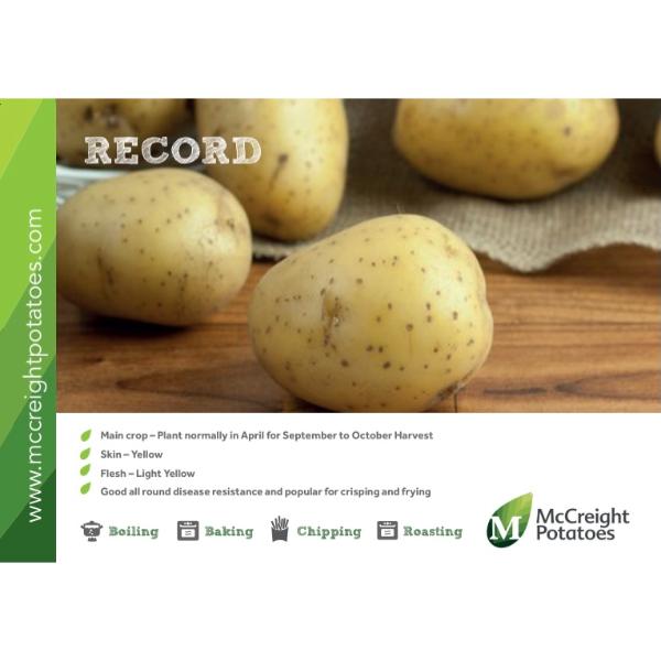 Record Seed Potatoes 2kg