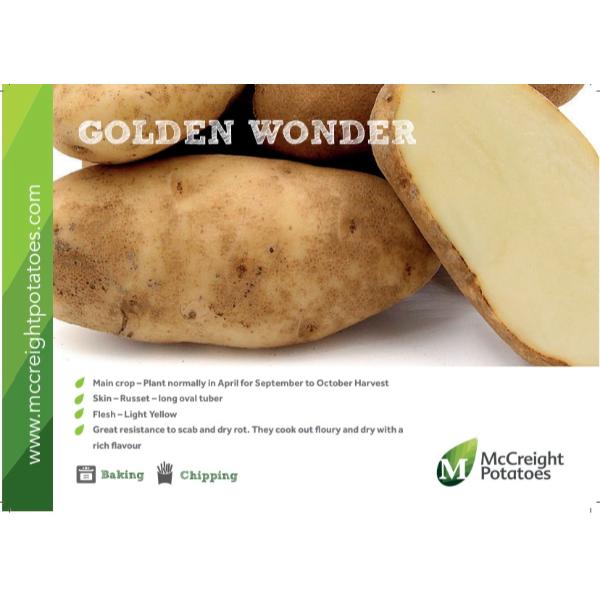 Golden Wonder Seed Potatoes 2kg