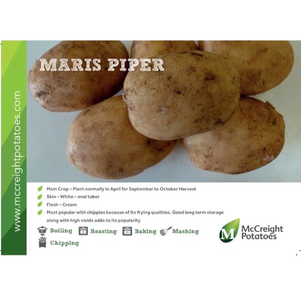 Maris Piper Seed Potatoes 2kg