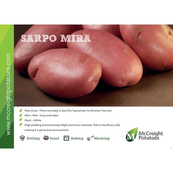 Sarpo Mira Seed Potatoes 5kg