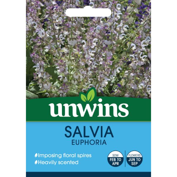 Unwins Seed Packet Salvia Euphoria