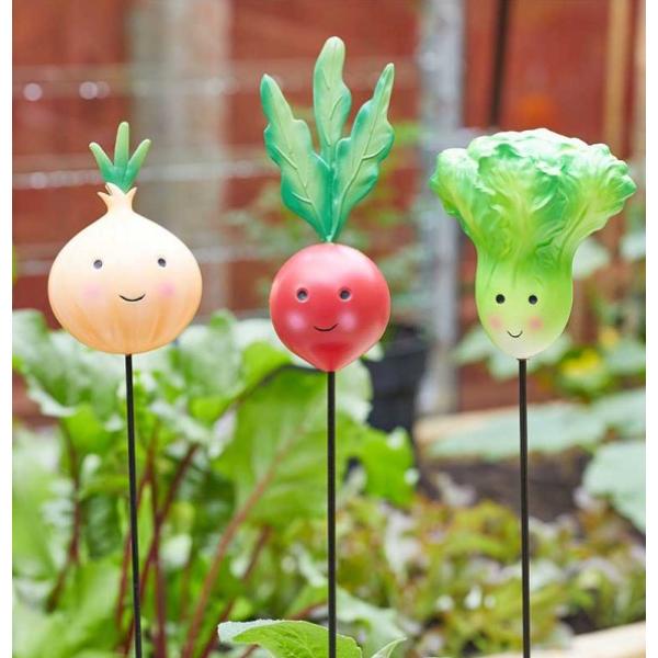 Smart Garden Veggies - Onion, Radish, Lettuce