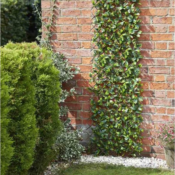 Smart Lemon Leaf Willow Trellis 180 x 90 cm
