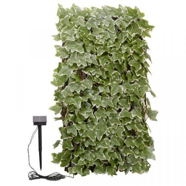 Smart 50 Led Solar In-Lit Ivy Trellis 180 X 60 cm