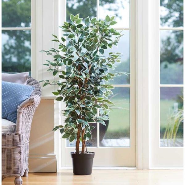 Faux Décor Weeping Fig 130 cm