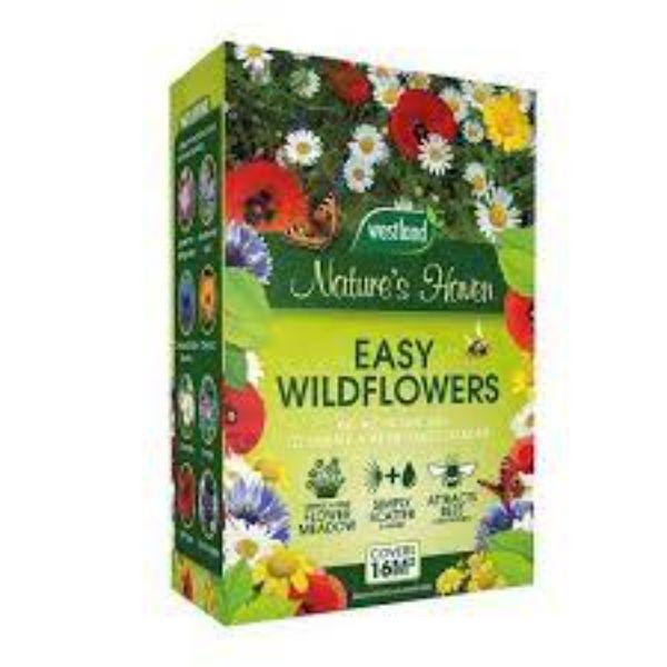 Natures Haven Easy Wildflower 1.2Kg Box Display
