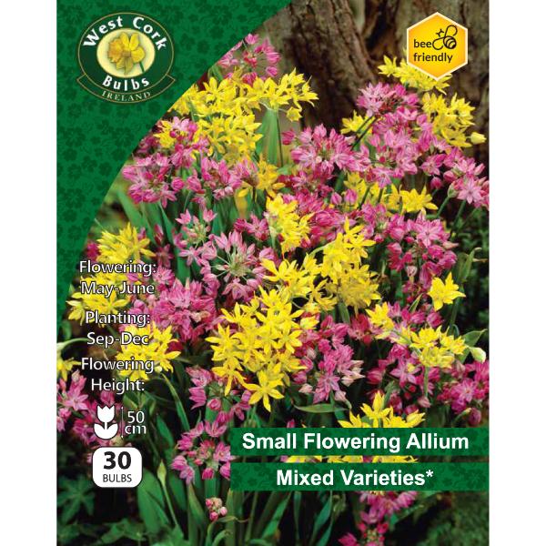 West Cork Bulbs Allium Small Flowering Mixed 30 Bulbs