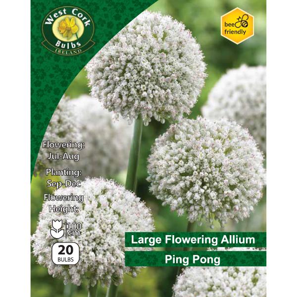 West Cork Bulbs Allium Ping Pong 20 Bulbs