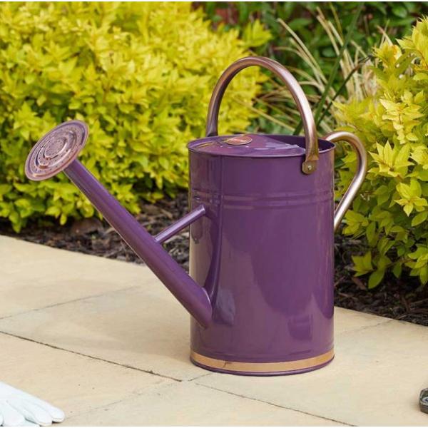 Grozone Watering Can - Violet 9L