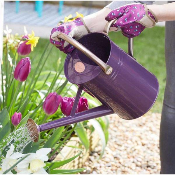 Grozone Watering Can – Violet 4.5L