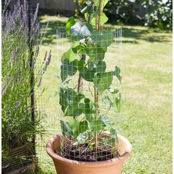 Smart Weldmesh Panel 25X25 mm Mesh 0.6 X 0.9M Galv