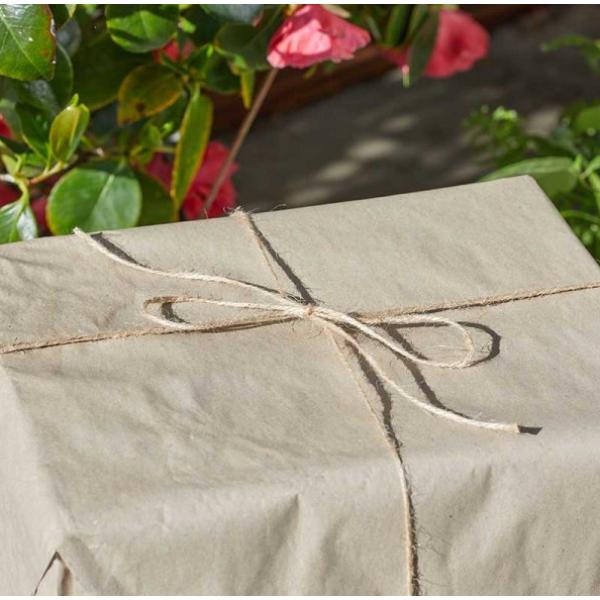 Smart Garden Sisal Tufftwine 100G