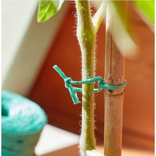 Smart Garden Rot-Proof Polytwine Green 100G