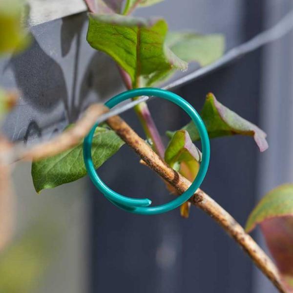 Smart Garden Plant Rings - Coated 50 pack