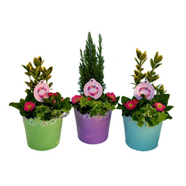 Mothers Day Planter - Tin Embossed Pail