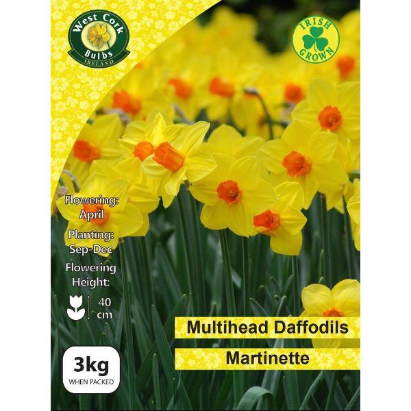 West Cork Daffodil Martinette 3kg 