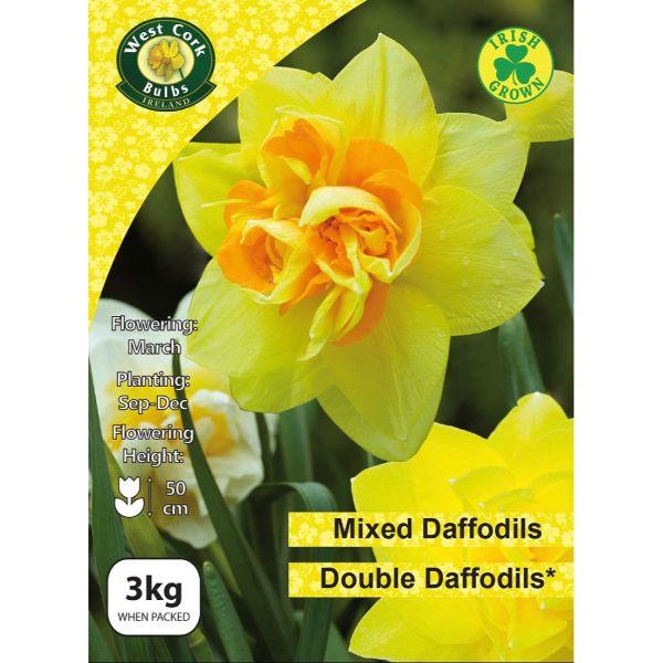 West Cork Mixed Double Daffodils 3Kg
