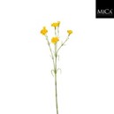 Carnation yellow Loose Stem