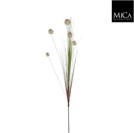 White grass Loose Stem