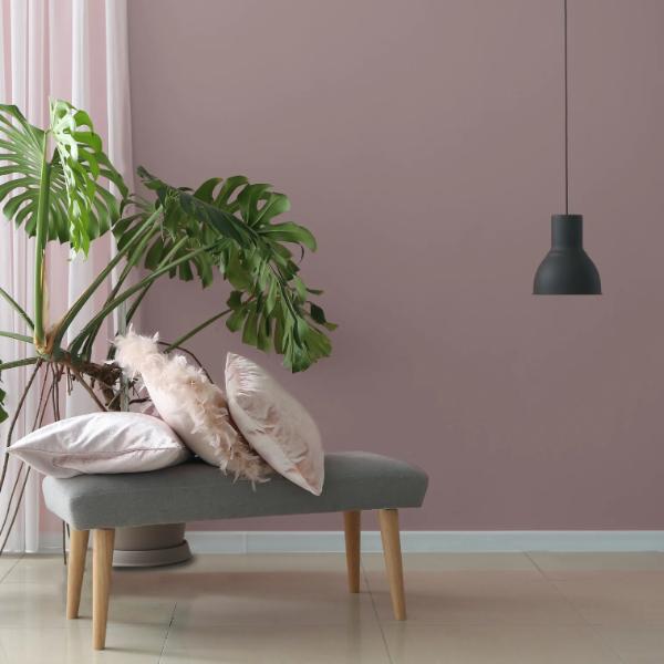 Colourtrend Mallow Stem Test Pot 100ML