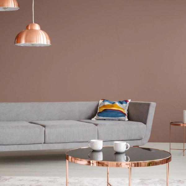 Colourtrend Chestnut Pink Test Pot 100ML