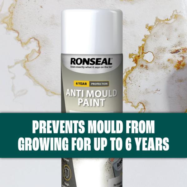 Ronseal 6 Year Anti Mould Paint 400ml