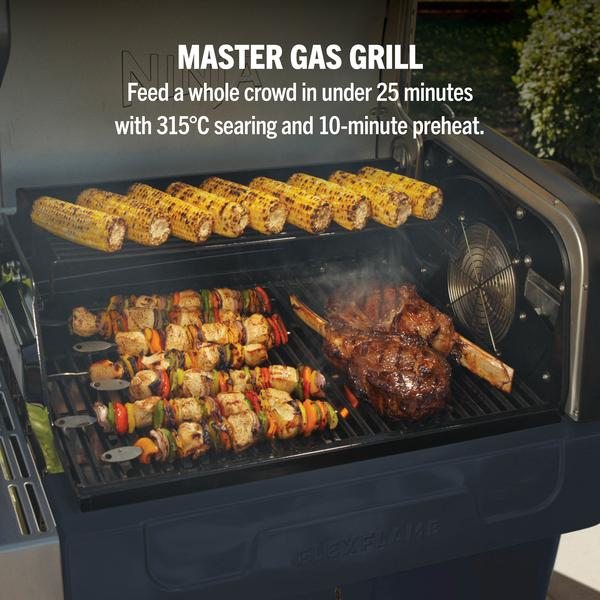 Ninja PG301UKBL FlexFlame 5-in-1 Outdoor Cooking System Blue