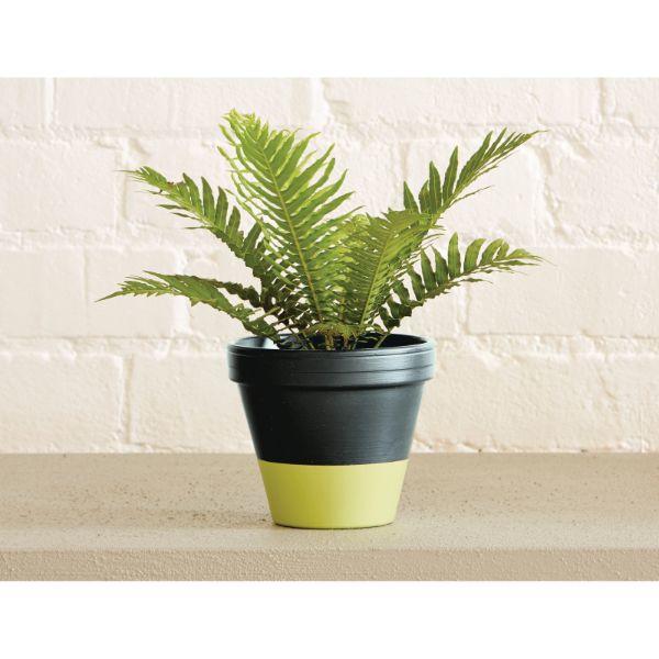 Ronseal Garden Paint Lime Zest 2.5Lt